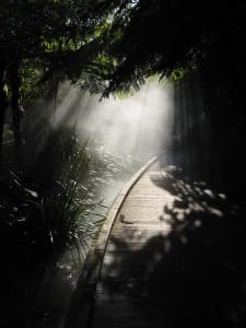 Roadway To Success Busienss Tips Not To Follow