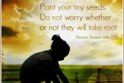 Inspiration - Plant your seeds they will grow - jumping in