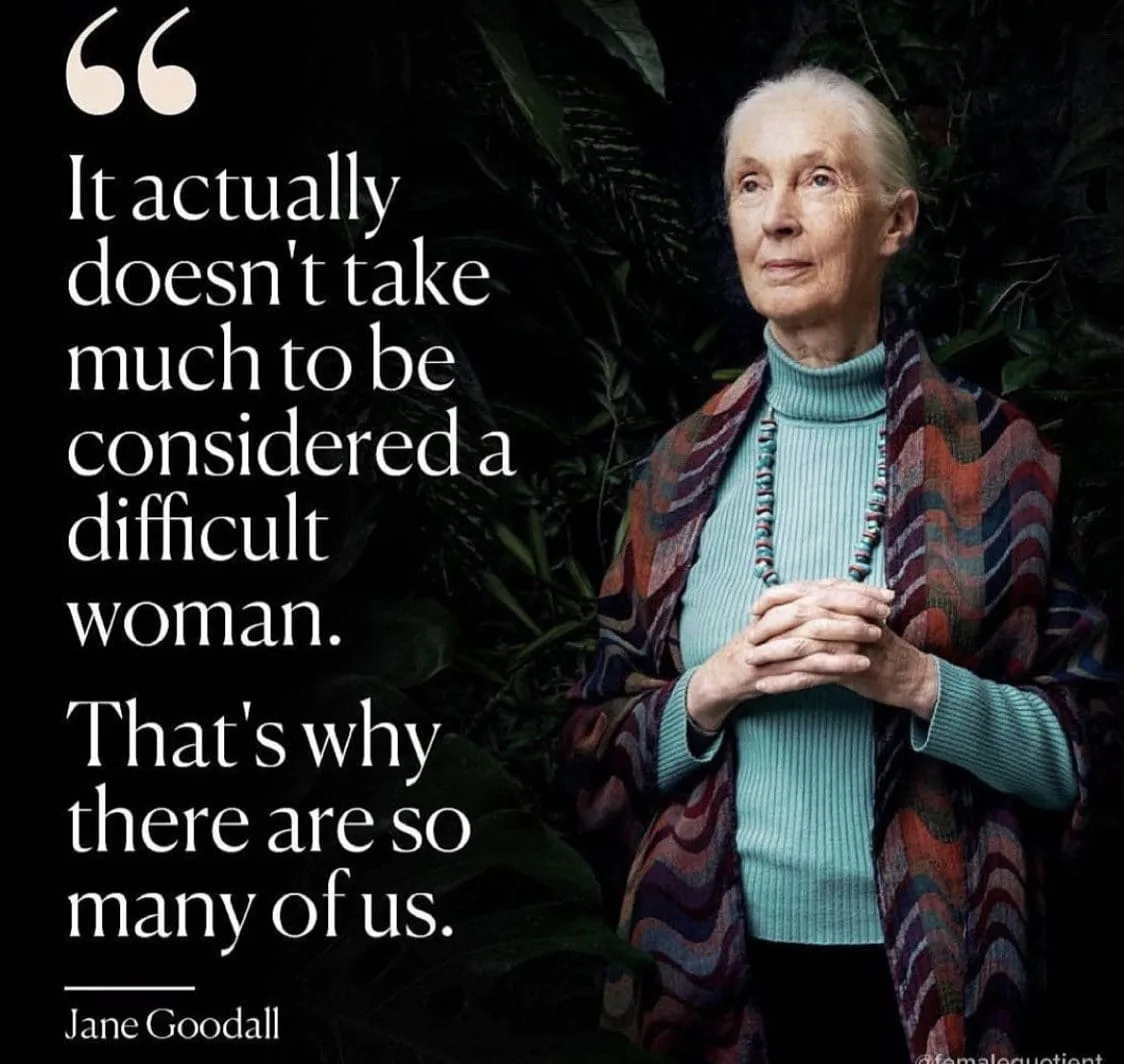 A quote from Jane Goodall - A Bit About Judy A quote from Jane Goodall