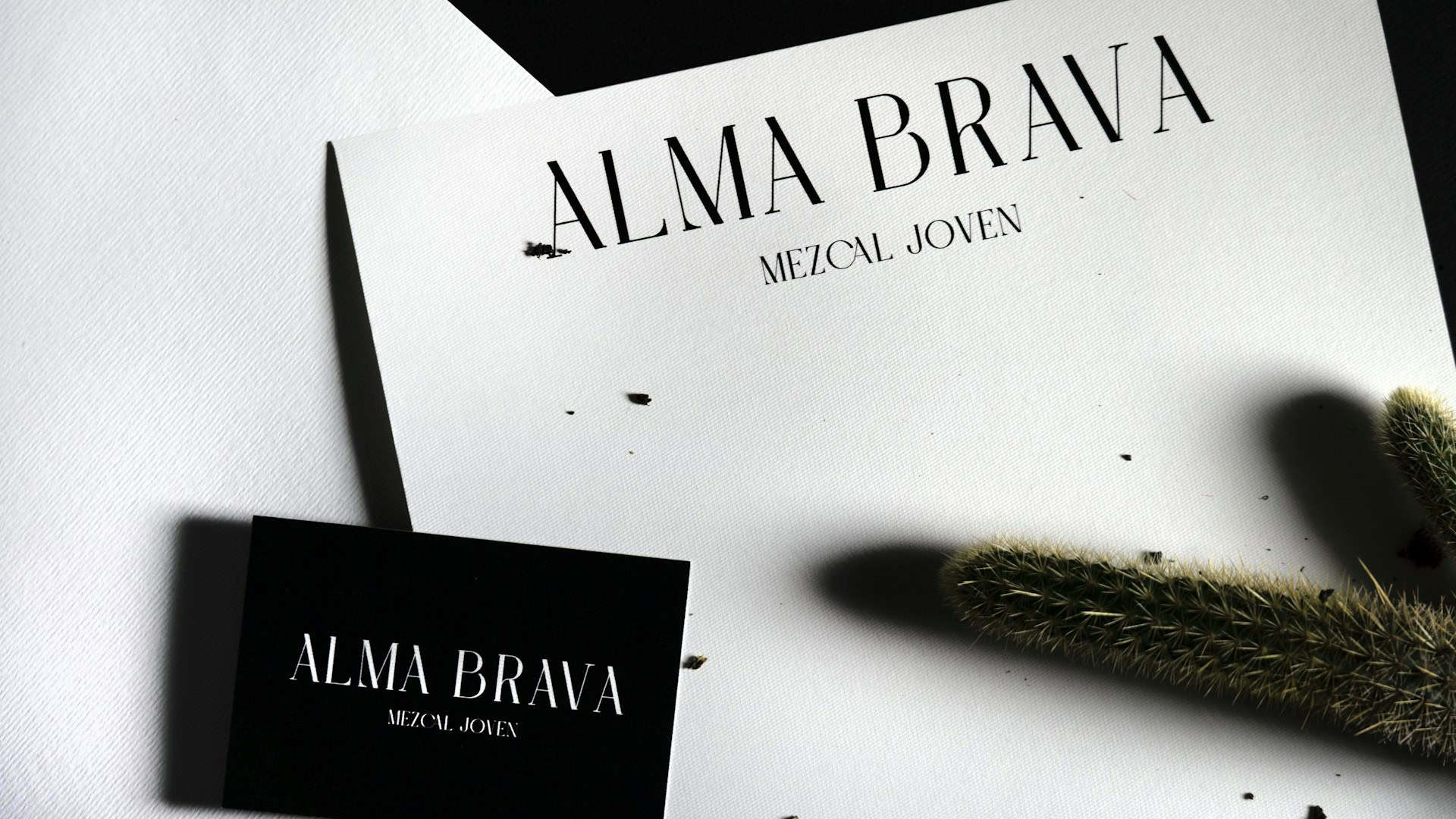 The project began with the need to create a brand for a high-quality mezcal that could compete in a demanding market standing out from its competition with a daring and innovative presence, but without losing the elegance that represents the quality and tradition of the processes with which mezcal is created.